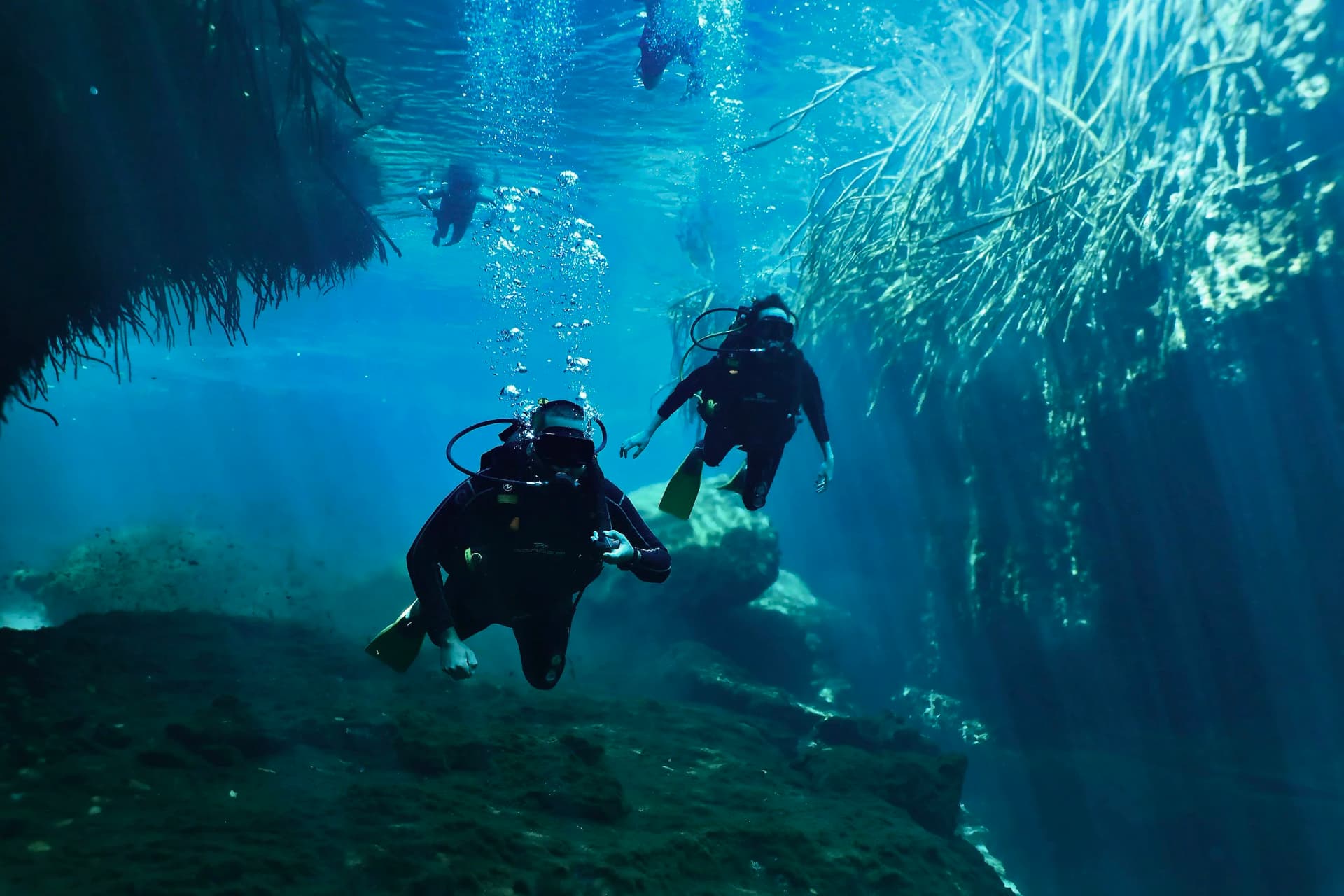 Dive Center Mexiko: Cozumels Korallenparadies hautnah erleben