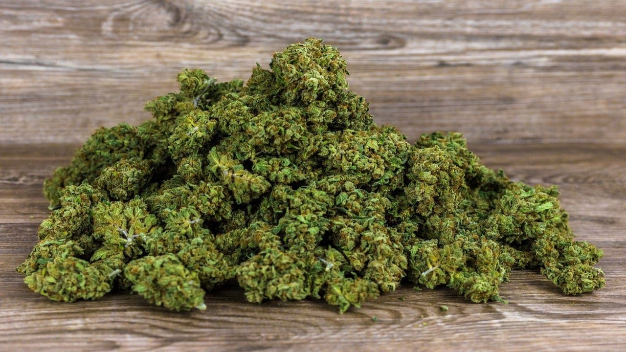 Urban Farming und Gratis Cannabis Samen