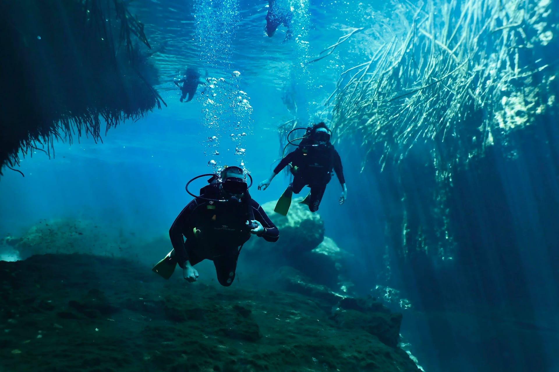 Dive Center Mexiko: Cozumels Korallenparadies hautnah erleben