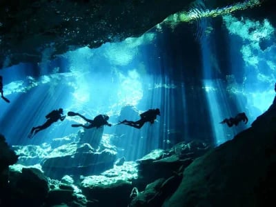 Dive Center Mexiko: Cozumels Korallenparadies hautnah erleben