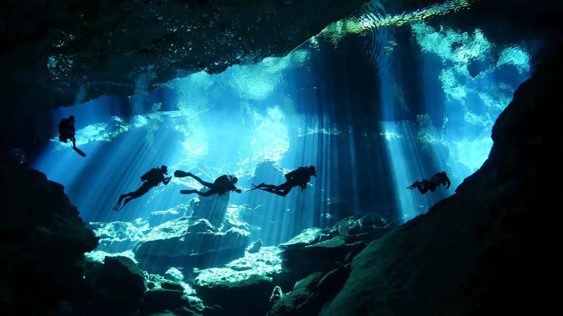 Dive Center Mexiko: Cozumels Korallenparadies hautnah erleben